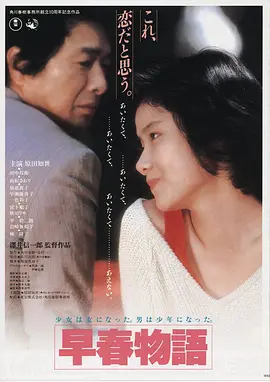 杨视频《雾港追凶》海报